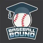 Baseball Bound App Negative Reviews