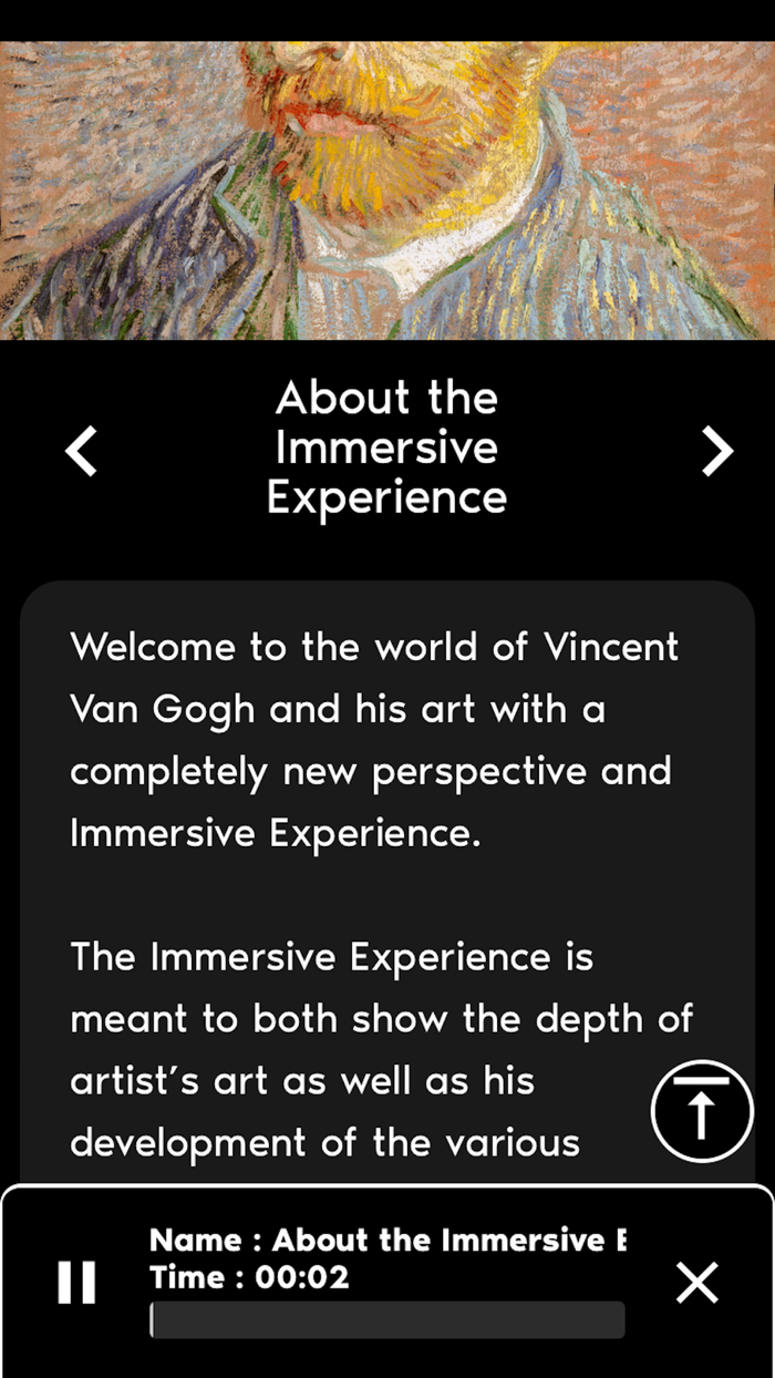 Van Gogh Immersive - USA