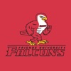 Friends University Falcons