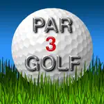 Par 3 Golf Watch App Positive Reviews