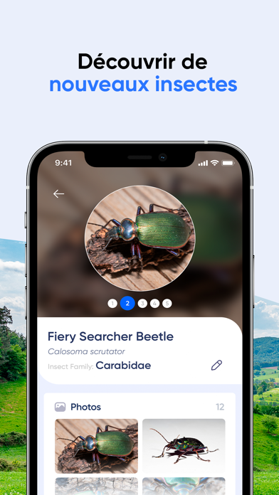 Screenshot #3 pour Bug ID: Insectes Identifier