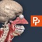Icon Primal's 3D Human Anatomy Quiz
