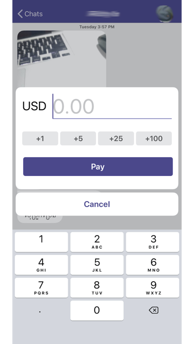 KESSPay Pro Screenshot