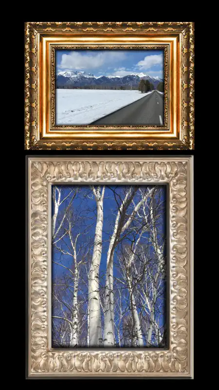 Frames Pro - Classical Frames screenshot 3 of 5