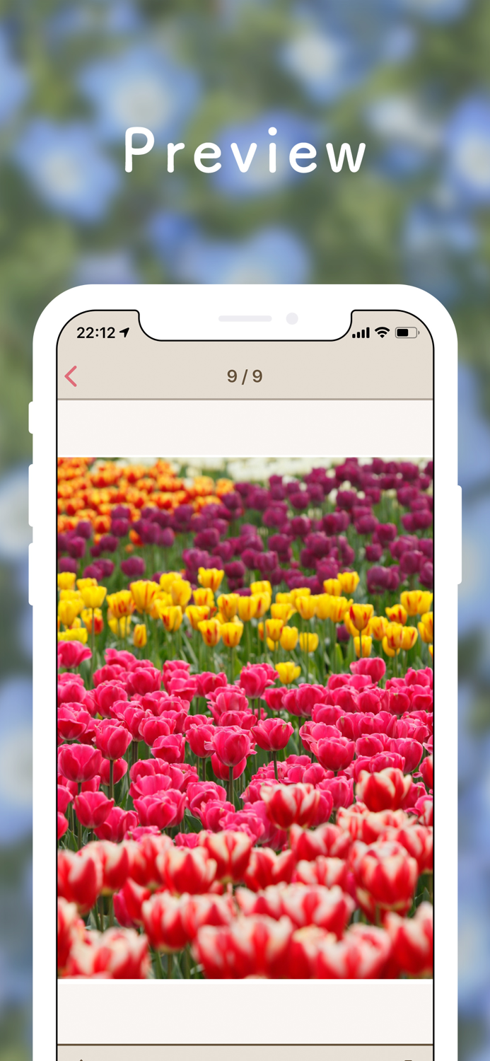 Myアルバム - 可愛い写真整理アルバム