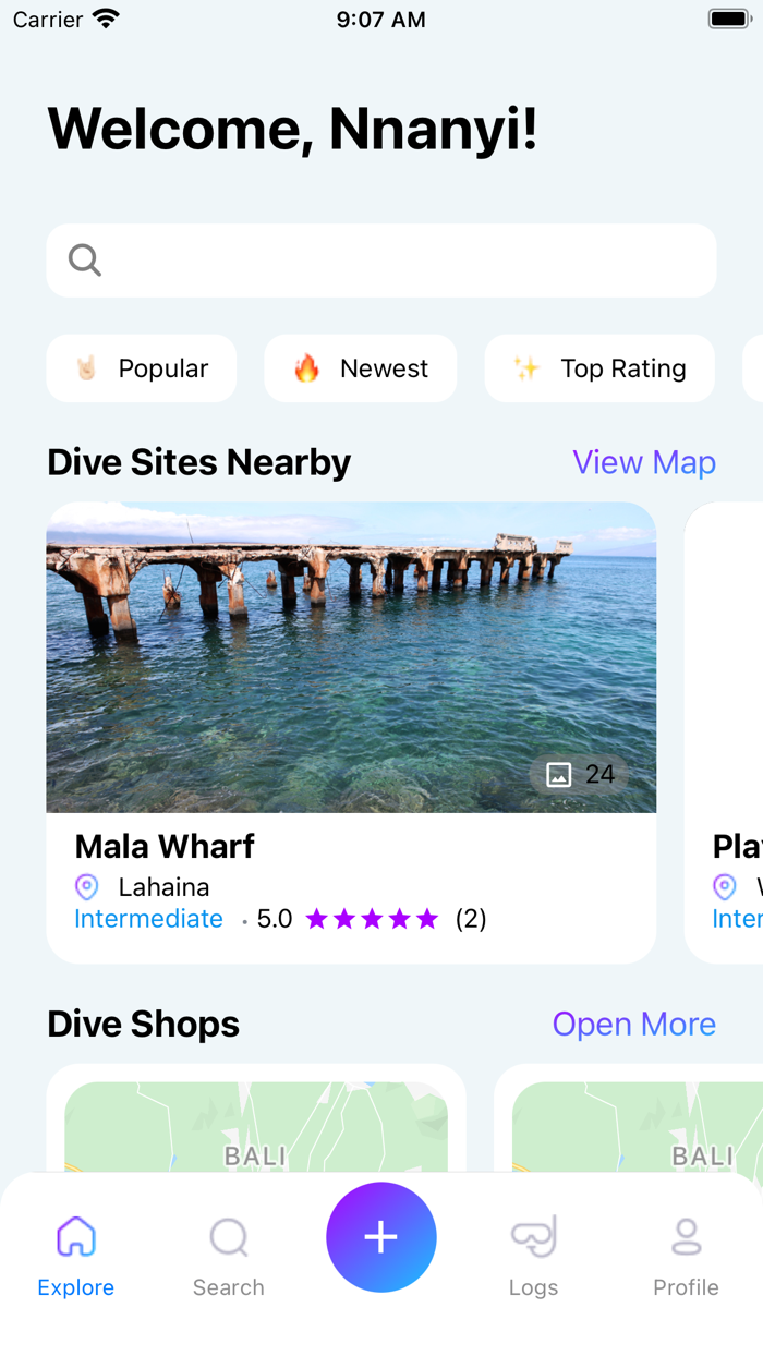 Scuba Dive Log by Zentacle