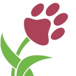 Салон цветов cats  СПб