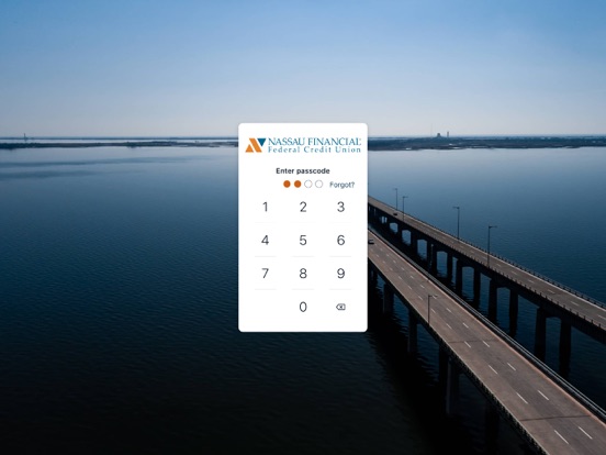 Nassau Financial iPad screenshot 2 - Finance app