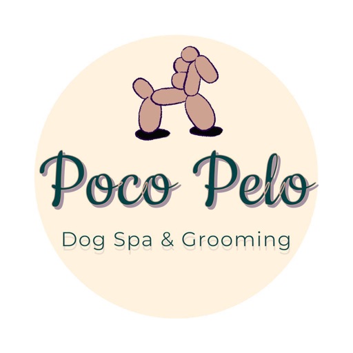 Poco Pelo - Dog Spa