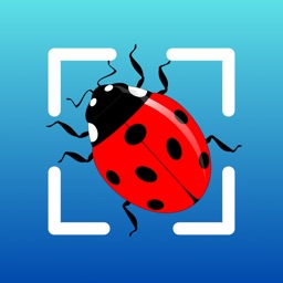 Bug identifier by picture