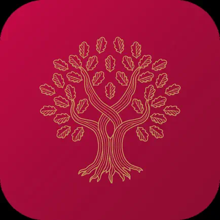 Universidad Panamericana Cheats