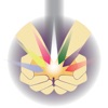 Platinum Ray Academy icon