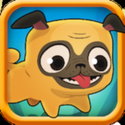 Pug Run icon