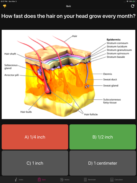 Screenshot #6 pour Human Anatomy Hair Facts,Quiz