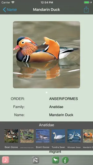 Japanese Birds screenshot 1