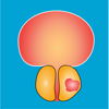 Nyushko prostate nomograms - Vladimir Perepukhov