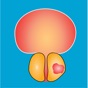Nyushko prostate nomograms app download