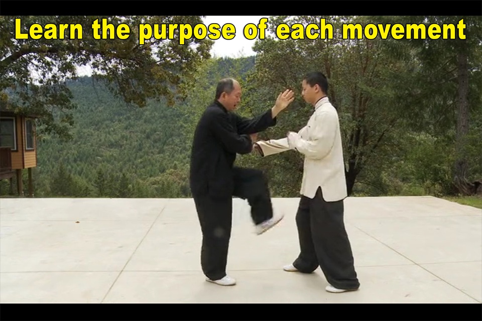 Yang Tai Chi for Beginners 2&3 screenshot 2