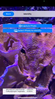 ai reef cam problems & solutions and troubleshooting guide - 4