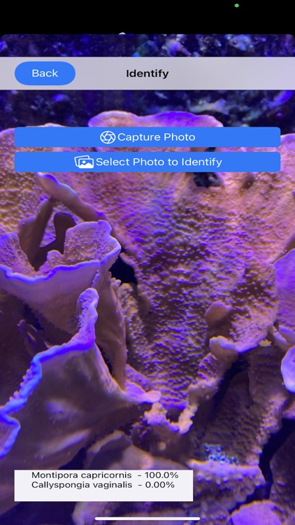 AI Reef Cam screenshot-6