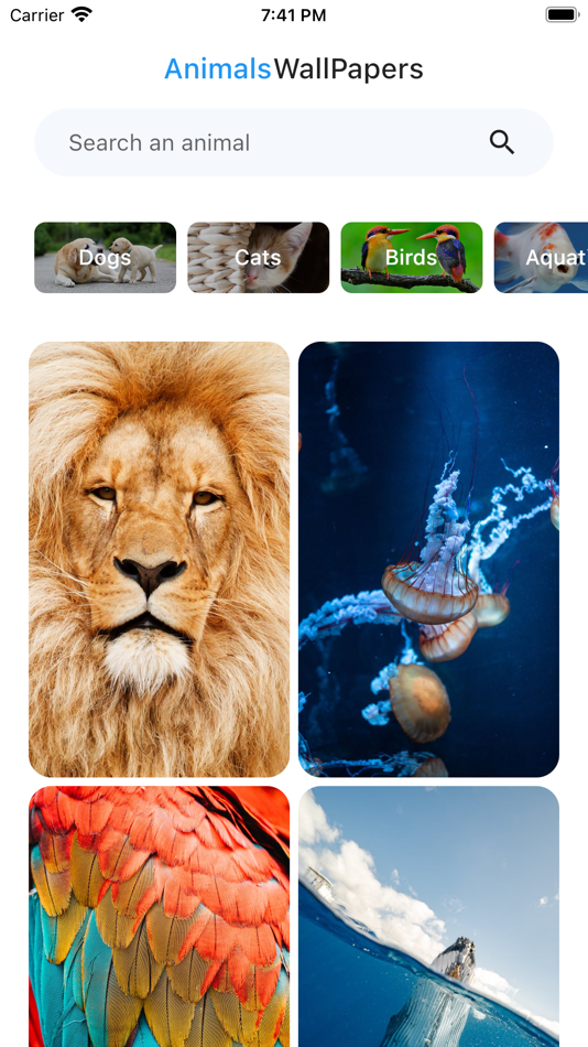 Animals UHD+ Wallpapers 2023 - 1.0.5 - (iOS)
