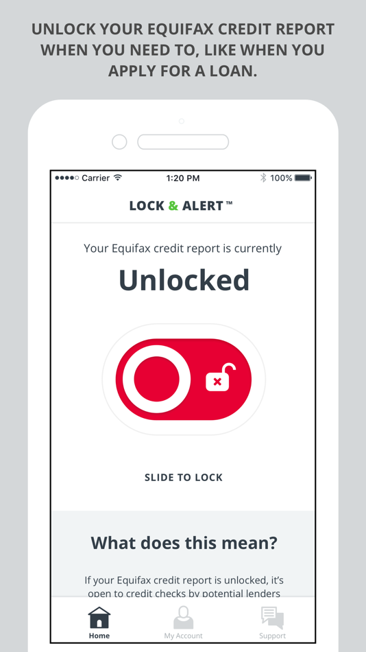 #3. Lock & Alert (iOS) 由: Equifax