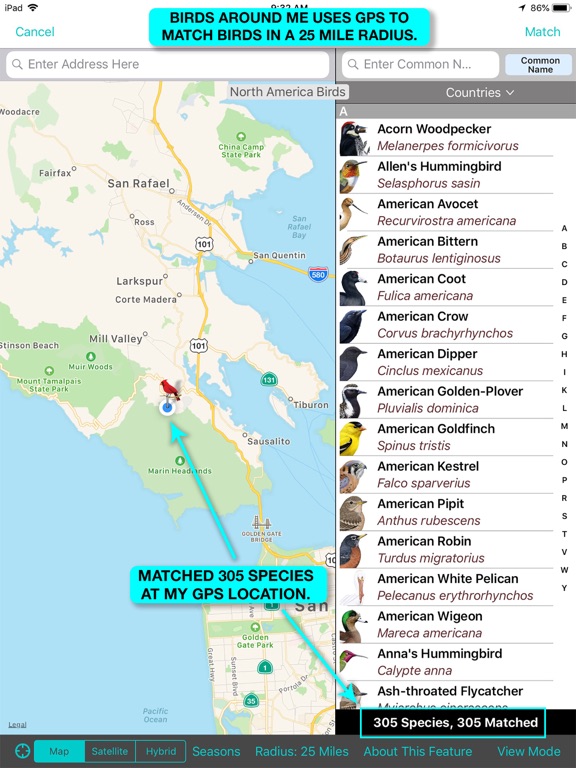 Screenshot #6 pour iBird Pro Guide to Birds