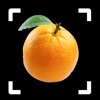 Fruit Identifier - By Photo - iPhoneアプリ