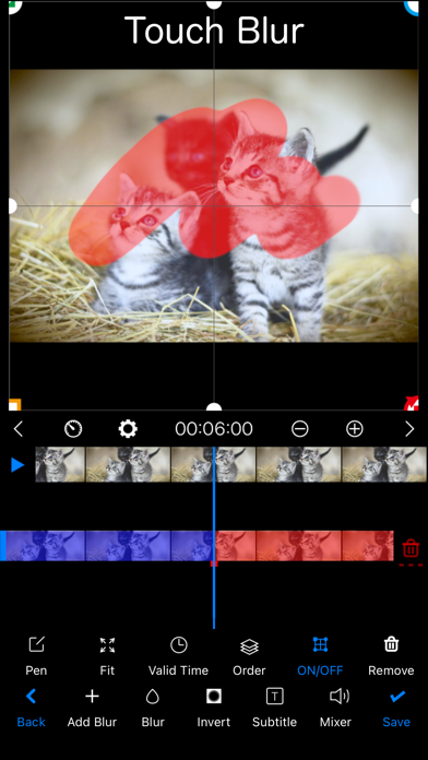 BokashiMaru Blur Photo & Video Screenshot