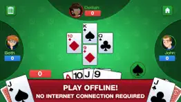 simple euchre problems & solutions and troubleshooting guide - 2
