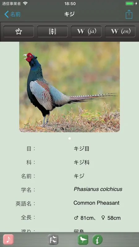 野鳥の鳴き声図鑑 50 screenshot 5 of 8