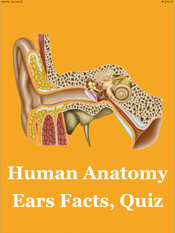 Screenshot #4 pour Human Anatomy Ears Facts, Quiz