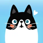 Cat Translator – Human to Pet App Problems