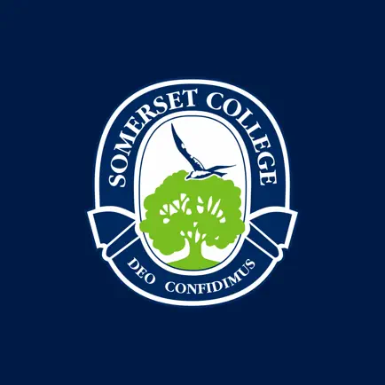 Somerset College Читы