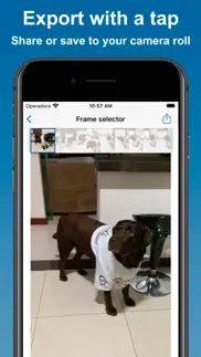 video to photo: high quality iphone screenshot 3