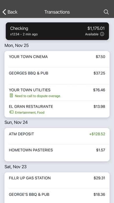 Pioneer Bank & Trust Screenshot