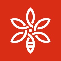 Beegroup logo