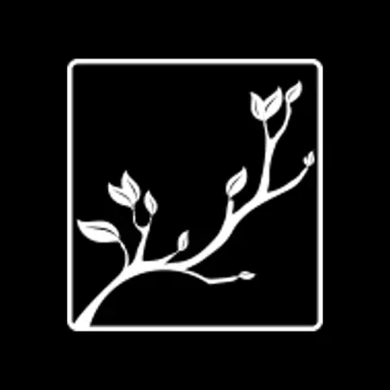 Forest Ridge Baptist Church Читы
