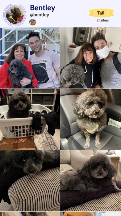 Licky- Social Media for Pets Screenshot