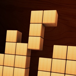 Block Sudoku Puzzle - Skillz