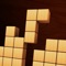 Icon Block Sudoku Puzzle - Skillz