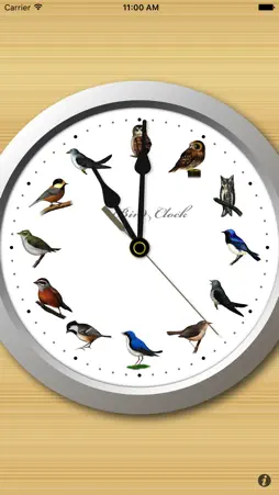 BirdClock screenshot 1