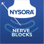 NYSORA Nerve Blocks App Positive Reviews