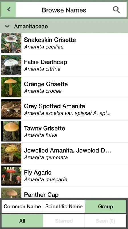 Mushrooms & other Fungi UK screenshot 2 of 8