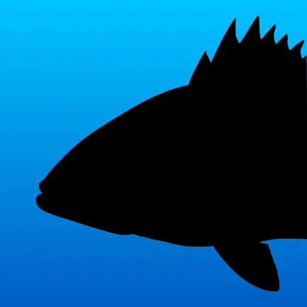 Fish Rules: Fishing App Cheats