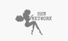 The SHN Network