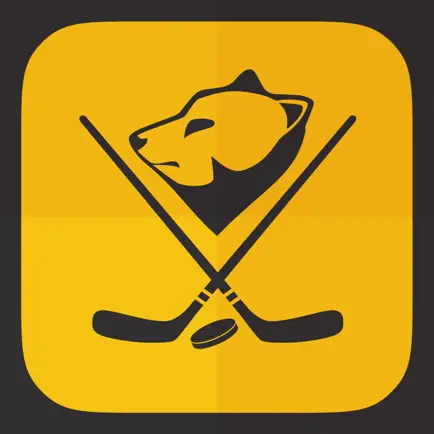 Boston Hockey News Читы