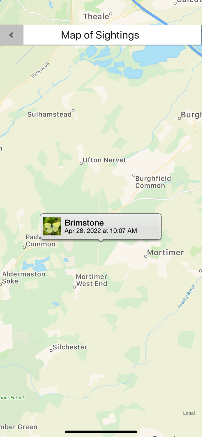 Butterfly Guide - Europe