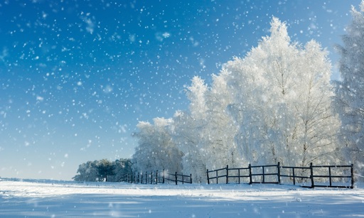 Winter Wonderlаnd