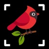 Bird Identifier: Fowl Breed ID - iPhoneアプリ